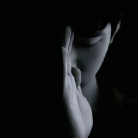 奈何惊鸿入我心