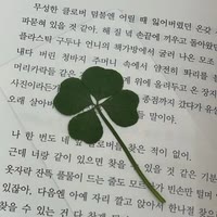 四叶草🍀