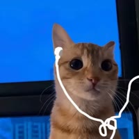 小心奇